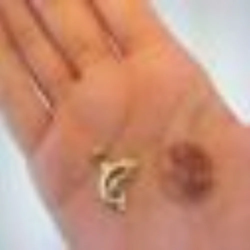 14k Solid Yellow Gold Dolphin Charm Pendant